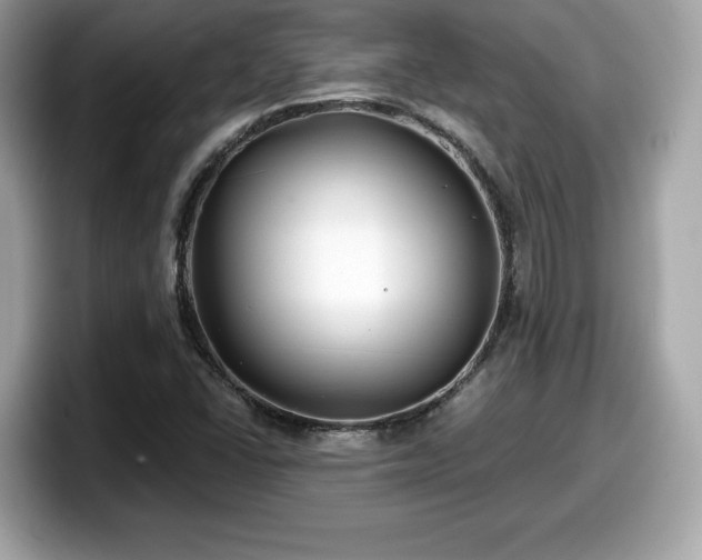 X0000098111406200804111046
