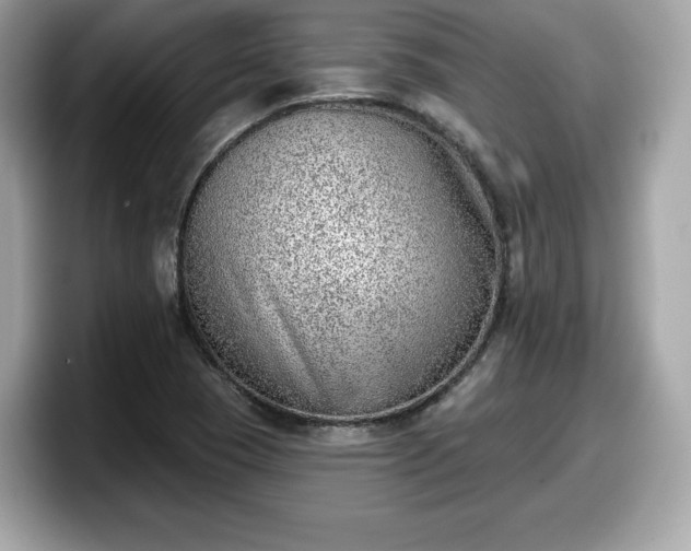 X0000098111409200804111046