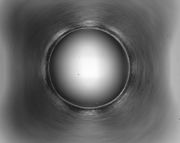 X0000098111410200804111046