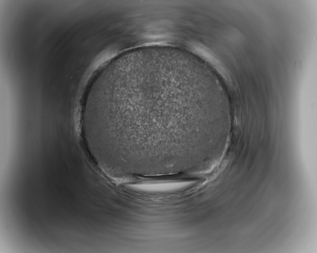 X0000098111411200804111046