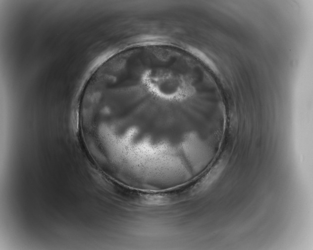 X0000098111413200804111046