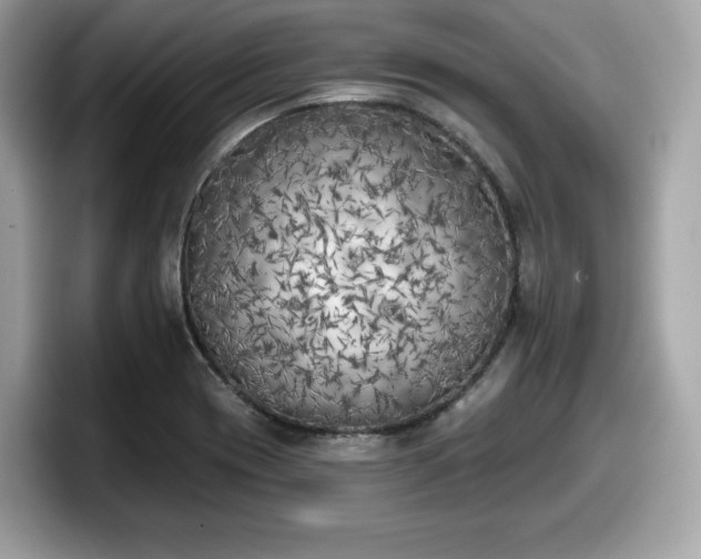 X0000098111417200804111046