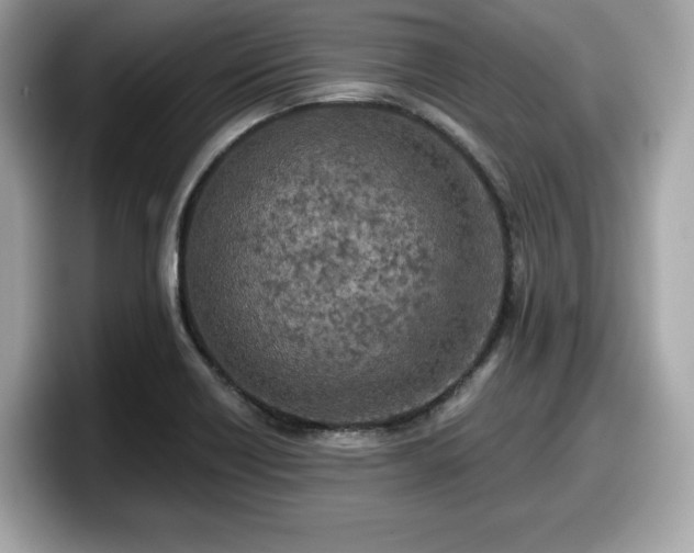 X0000098111418200804111046