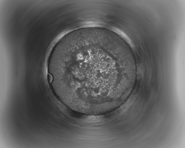 X0000098111419200804111046