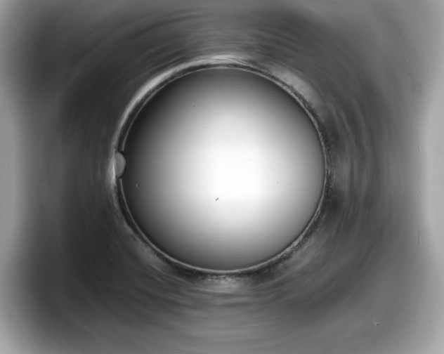 X0000098111420200804111046