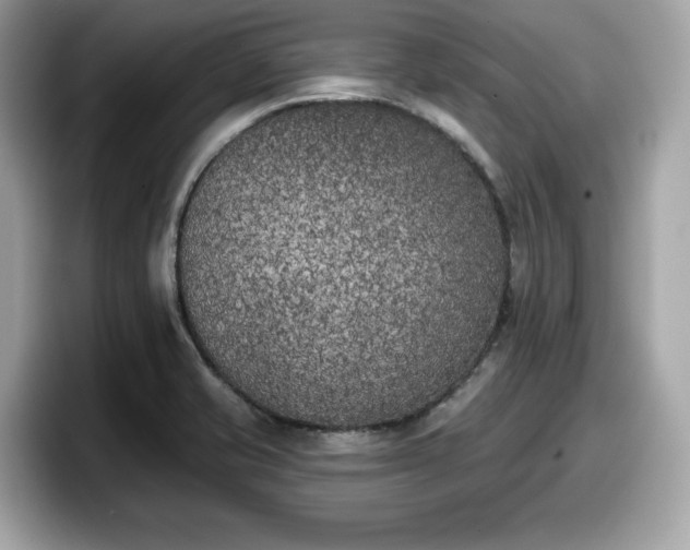 X0000098111421200804111046