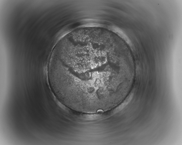 X0000098111425200804111046