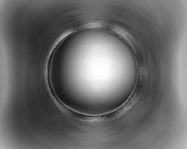 X0000098111426200804111046