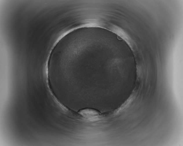 X0000098111428200804111046