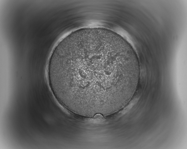 X0000098111429200804111046