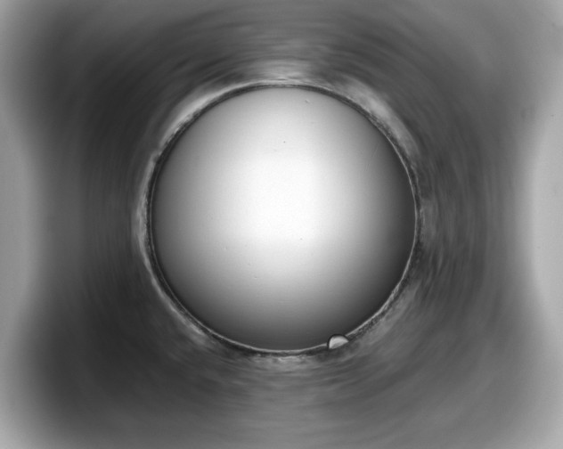 X0000098111432200804111046
