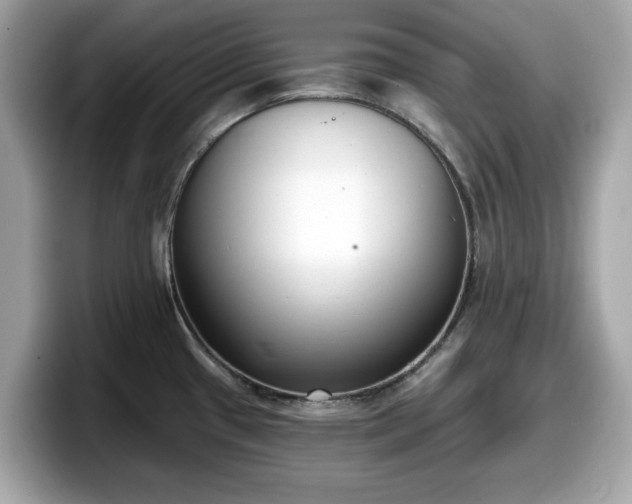 X0000098111433200804111046