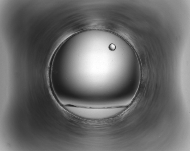 X0000098111434200804111046