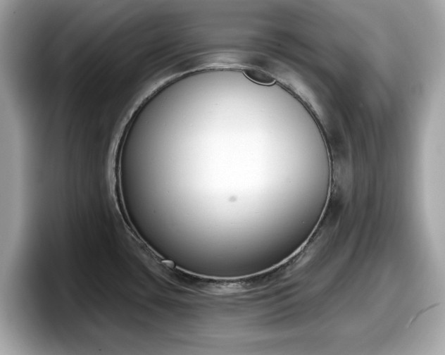 X0000098111435200804111046