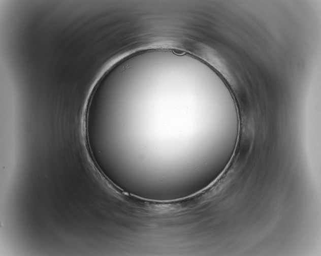 X0000098111436200804111046