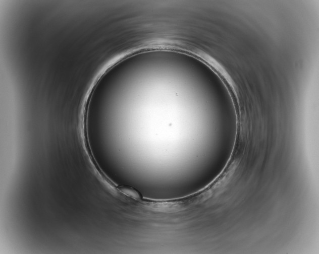 X0000098111437200804111046