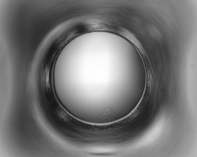 X0000098111439200804111046