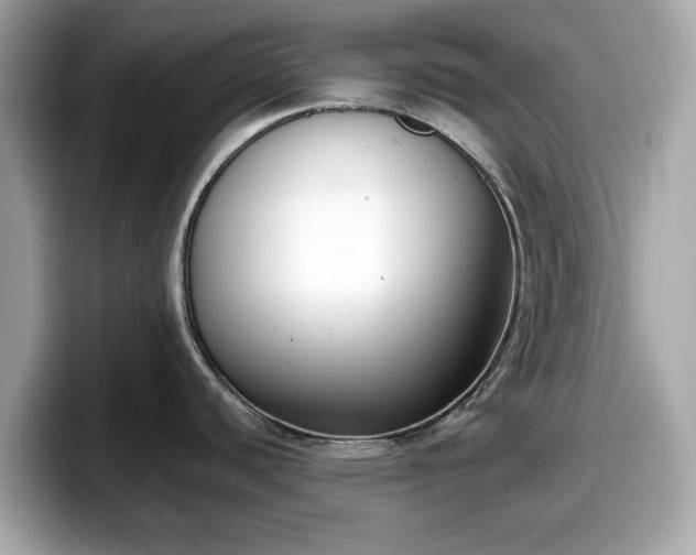 X0000098111440200804111046