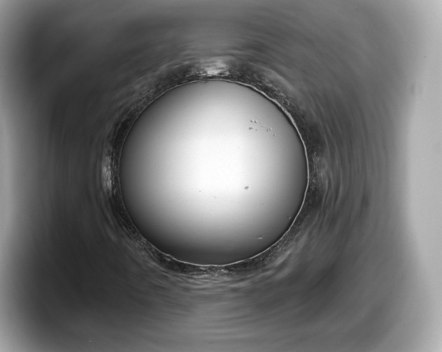 X0000098111442200804111046