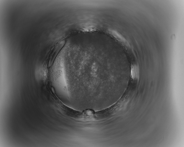 X0000098111444200804111046