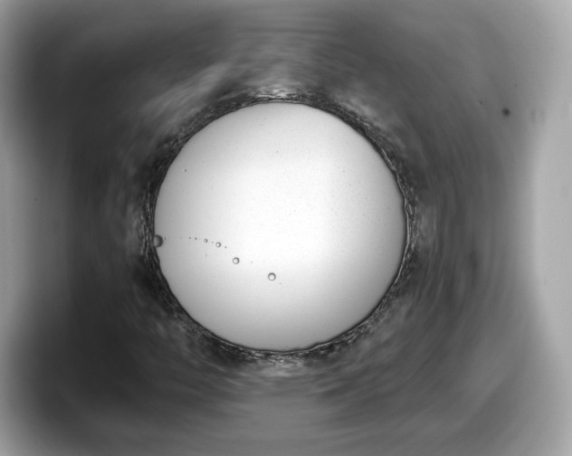 X0000098111446200804111046