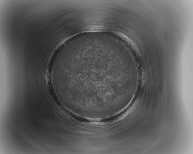 X0000098111449200804111046