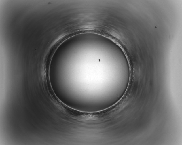 X0000098111450200804111046