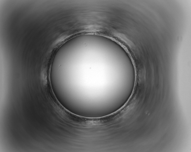 X0000098111451200804111046