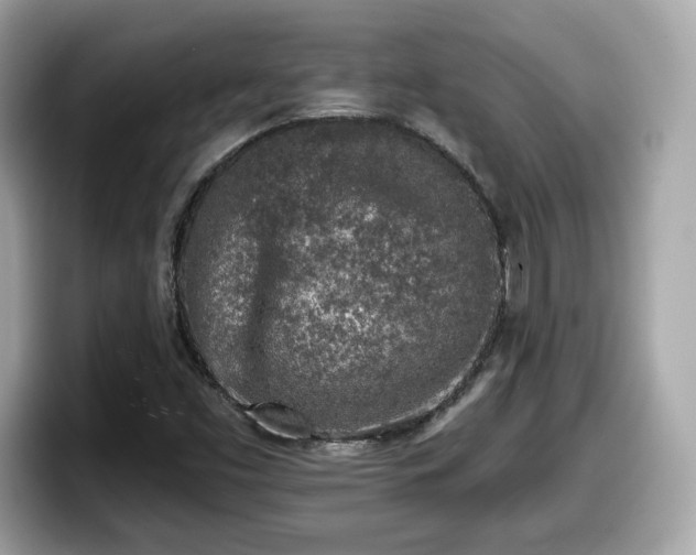 X0000098111453200804111045