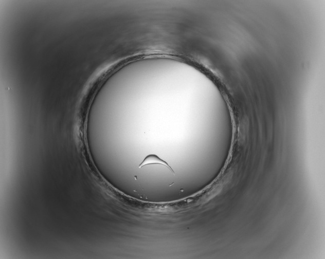 X0000098111454200804111045