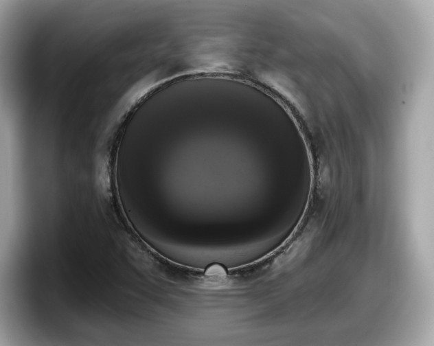 X0000098111455200804111045
