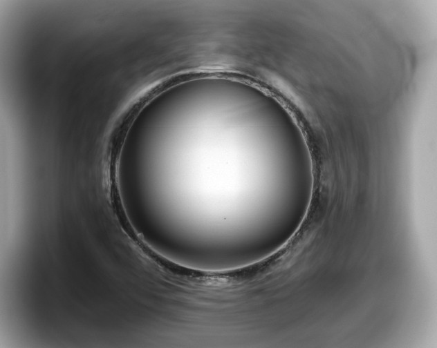 X0000098111456200804111045