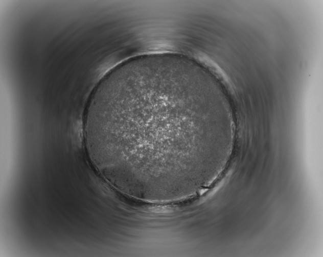 X0000098111457200804111045