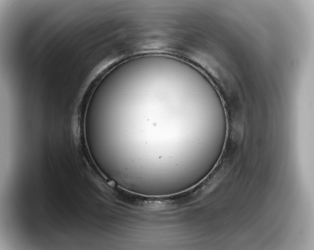 X0000098111458200804111045