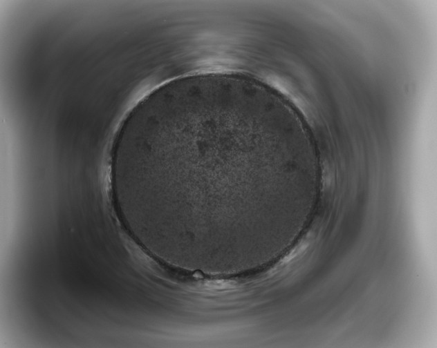 X0000098111459200804111045