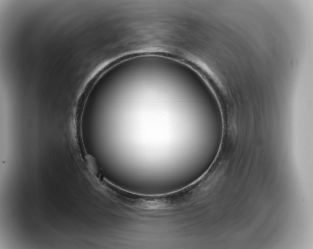 X0000098111460200804111045