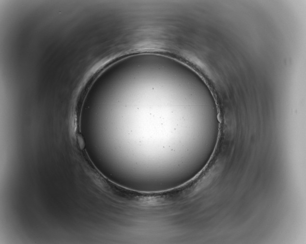 X0000098111461200804111045
