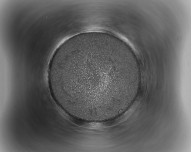 X0000098111463200804111045