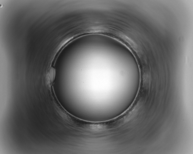 X0000098111465200804111045