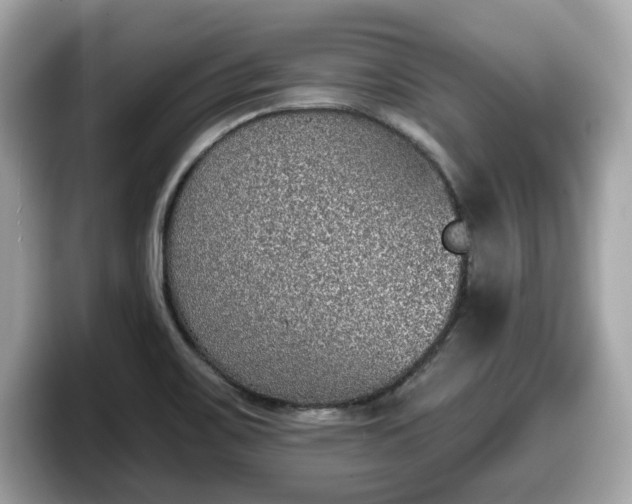 X0000098111467200804111045