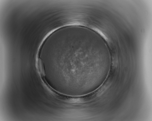 X0000098111468200804111045