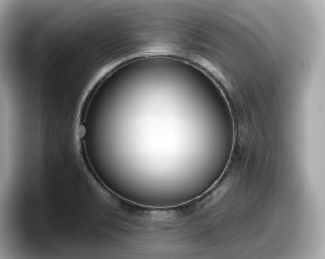 X0000098111469200804111045