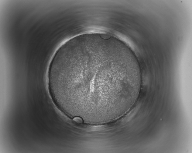 X0000098111471200804111045