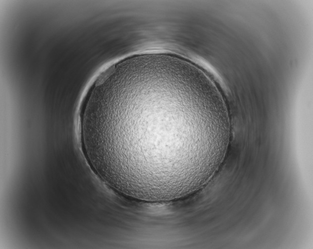 X0000098111472200804111045