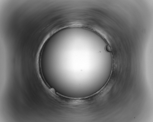 X0000098111475200804111045