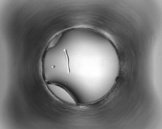 X0000098111476200804111045