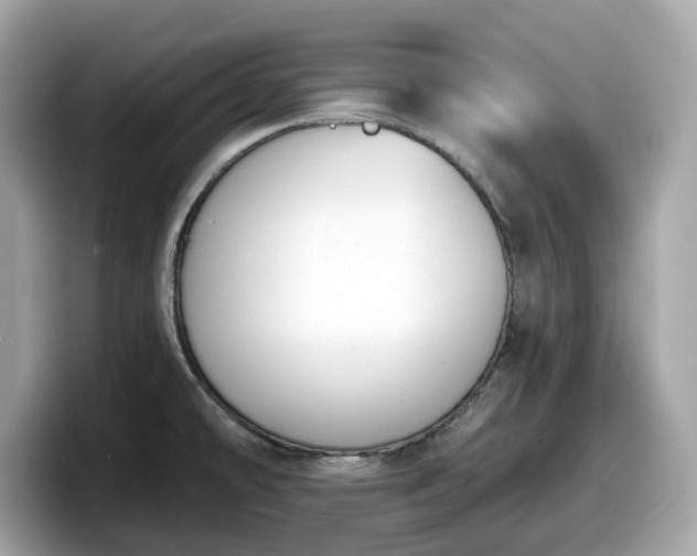 X0000098111478200804111045