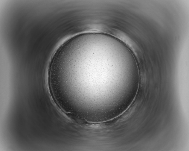 X0000098111480200804111045