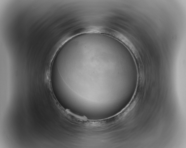 X0000098111481200804111045