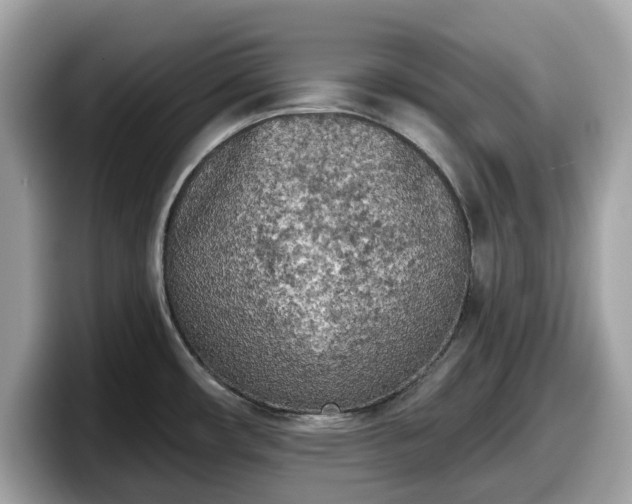 X0000098111482200804111045